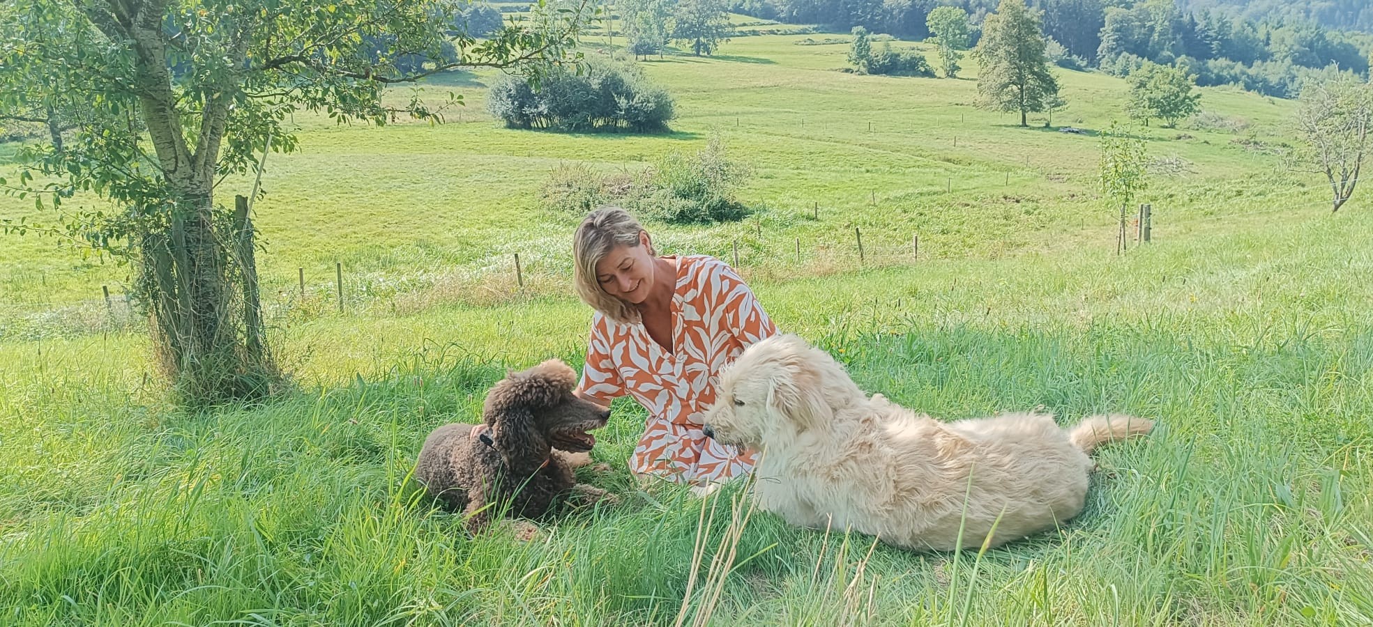 Person mit zwei Hunden auf einer Wiese