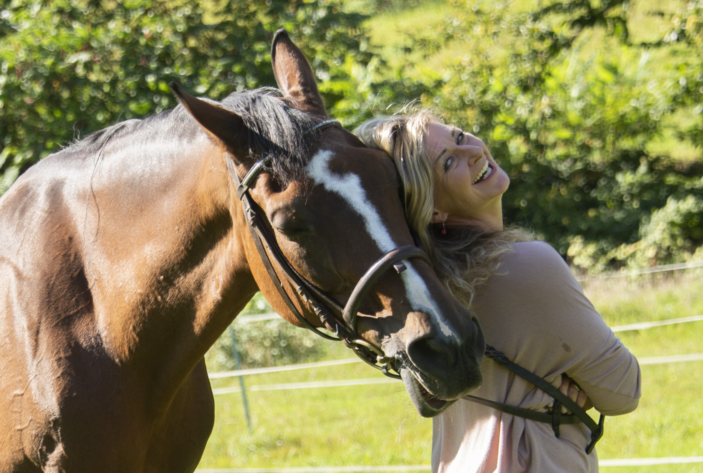 Person und Pferd aneinandergelehnt
